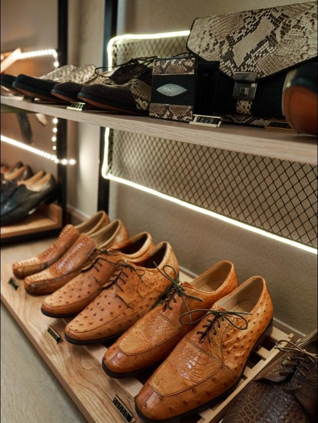 Exotic leather shoes and a snakeskin bag on lit display shelves